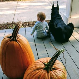 Meet your Posher, Devon